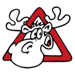 Favicon Safety Drive